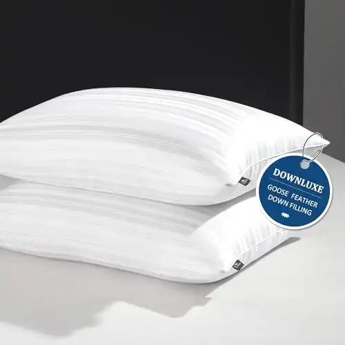 downluxe Goose Down Pillows