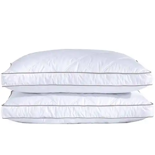 puredown® Goose Feathers and Down Pillow